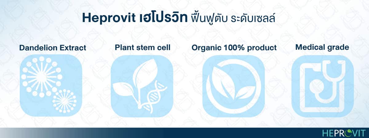 HEPROVIT เฮโปรวิท ฟื้นฟูตับไบำรุงตับ รักษาตับ ดีท็อกซ์ตับ ล้างสารพิษตับ ไขมันพอกตับ ตับอักเสบ ตับแข็ง ไวรัสตับอักเสบเอ ไวรัสตับอักเสบบี ไวรัสตับอักเสบซี มะเร็งตับ ตาเหลืองตัวเหลือง เจ็บชายโครงด้านขวา ง่วงกลางวัน ตื่นกลางคืน ดื่มแล้วเป็นผื่นแดง คันตามตัวไม่มีสาเหตุ มือเท้าบวม ท้องมาน ปวดตามข้อ ท้องอืด แน่น หายใจไม่สะดวก ดื่มเหล้า สุรา อ้วน ไขมัน