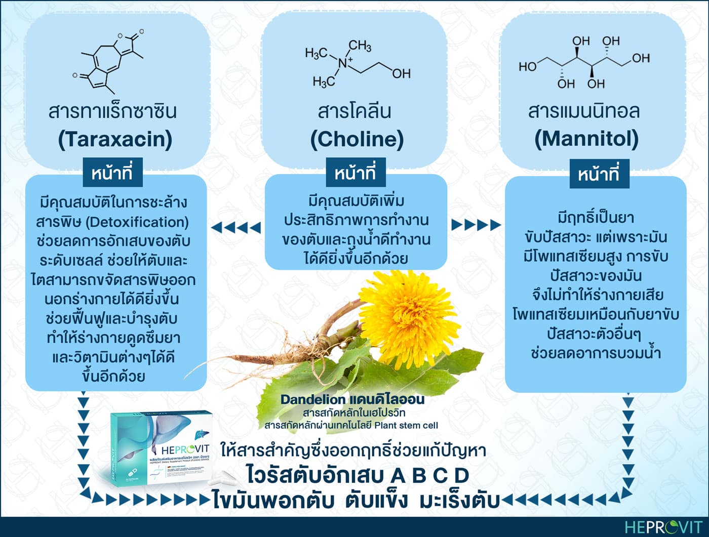 HEPROVIT เฮโปรวิท ฟื้นฟูตับ บำรุงตับ รักษาตับ ดีท็อกซ์ตับ ล้างสารพิษตับ ไขมันพอกตับ ตับอักเสบ ตับแข็ง ไวรัสตับอักเสบเอ ไวรัสตับอักเสบบี ไวรัสตับอักเสบซี มะเร็งตับ ตาเหลืองตัวเหลือง เจ็บชายโครงด้านขวา ง่วงกลางวัน ตื่นกลางคืน ดื่มแล้วเป็นผื่นแดง คันตามตัวไม่มีสาเหตุ มือเท้าบวม ท้องมาน ปวดตามข้อ ท้องอืด แน่น หายใจไม่สะดวก ดื่มเหล้า สุรา อ้วน ไขมัน