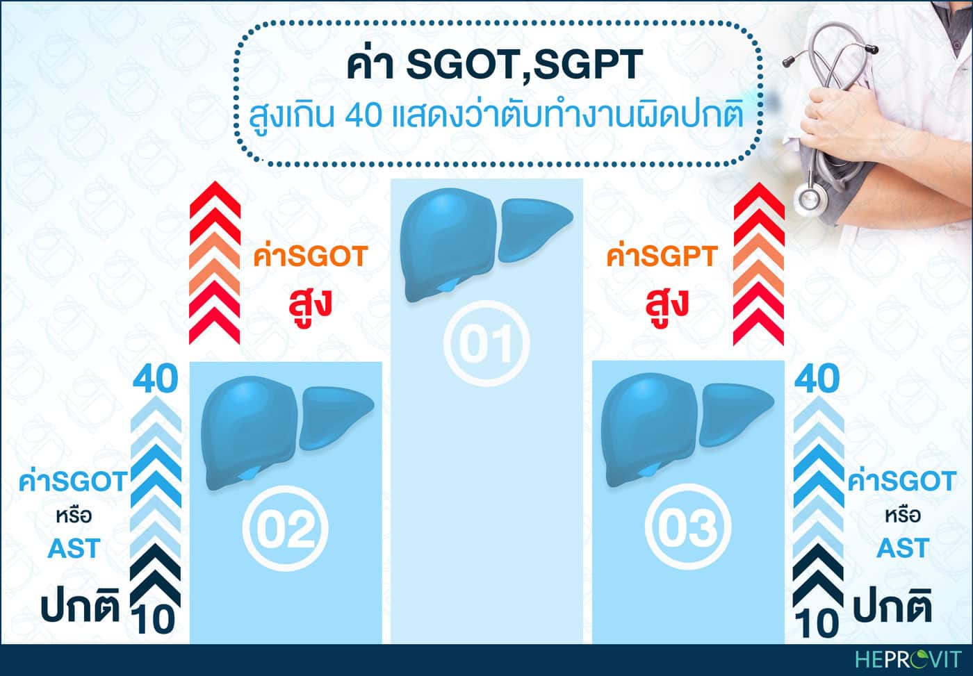 HEPROVIT เฮโปรวิท ฟื้นฟูตับ บำรุงตับ รักษาตับ ดีท็อกซ์ตับ ล้างสารพิษตับ ไขมันพอกตับ ตับอักเสบ ตับแข็ง ไวรัสตับอักเสบเอ ไวรัสตับอักเสบบี ไวรัสตับอักเสบซี มะเร็งตับ ตาเหลืองตัวเหลือง เจ็บชายโครงด้านขวา ง่วงกลางวัน ตื่นกลางคืน ดื่มแล้วเป็นผื่นแดง คันตามตัวไม่มีสาเหตุ มือเท้าบวม ท้องมาน ปวดตามข้อ ท้องอืด แน่น หายใจไม่สะดวก ดื่มเหล้า สุรา อ้วน ไขมัน