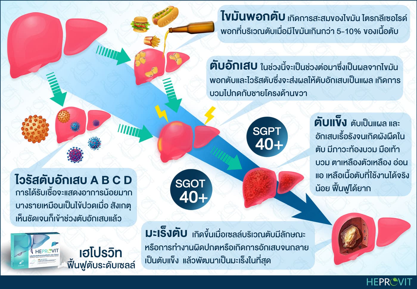 HEPROVIT เฮโปรวิท ฟื้นฟูตับ บำรุงตับ รักษาตับ ดีท็อกซ์ตับ ล้างสารพิษตับ ไขมันพอกตับ ตับอักเสบ ตับแข็ง ไวรัสตับอักเสบเอ ไวรัสตับอักเสบบี ไวรัสตับอักเสบซี มะเร็งตับ ตาเหลืองตัวเหลือง เจ็บชายโครงด้านขวา ง่วงกลางวัน ตื่นกลางคืน ดื่มแล้วเป็นผื่นแดง คันตามตัวไม่มีสาเหตุ มือเท้าบวม ท้องมาน ปวดตามข้อ ท้องอืด แน่น หายใจไม่สะดวก ดื่มเหล้า สุรา อ้วน ไขมัน