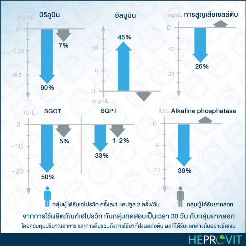 HEPROVIT เฮโปรวิท ฟื้นฟูตับ บำรุงตับ รักษาตับ ดีท็อกซ์ตับ ล้างสารพิษตับ ไขมันพอกตับ ตับอักเสบ ตับแข็ง ไวรัสตับอักเสบเอ ไวรัสตับอักเสบบี ไวรัสตับอักเสบซี มะเร็งตับ ตาเหลืองตัวเหลือง เจ็บชายโครงด้านขวา ง่วงกลางวัน ตื่นกลางคืน ดื่มแล้วเป็นผื่นแดง คันตามตัวไม่มีสาเหตุ มือเท้าบวม ท้องมาน ปวดตามข้อ ท้องอืด แน่น หายใจไม่สะดวก ดื่มเหล้า สุรา อ้วน ไขมัน