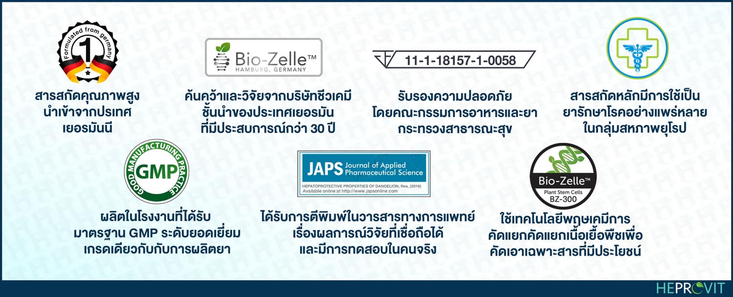 HEPROVIT เฮโปรวิท ฟื้นฟูตับ บำรุงตับ รักษาตับ ดีท็อกซ์ตับ ล้างสารพิษตับ ไขมันพอกตับ ตับอักเสบ ตับแข็ง ไวรัสตับอักเสบเอ ไวรัสตับอักเสบบี ไวรัสตับอักเสบซี มะเร็งตับ ตาเหลืองตัวเหลือง เจ็บชายโครงด้านขวา ง่วงกลางวัน ตื่นกลางคืน ดื่มแล้วเป็นผื่นแดง คันตามตัวไม่มีสาเหตุ มือเท้าบวม ท้องมาน ปวดตามข้อ ท้องอืด แน่น หายใจไม่สะดวก ดื่มเหล้า สุรา อ้วน ไขมัน