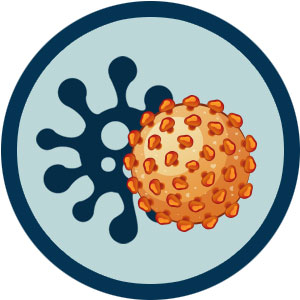 HEPROVIT เฮโปรวิท ฟื้นฟูตับไบำรุงตับ รักษาตับ ดีท็อกซ์ตับ ล้างสารพิษตับ ไขมันพอกตับ ตับอักเสบ ตับแข็ง ไวรัสตับอักเสบเอ ไวรัสตับอักเสบบี ไวรัสตับอักเสบซี มะเร็งตับ ตาเหลืองตัวเหลือง เจ็บชายโครงด้านขวา ง่วงกลางวัน ตื่นกลางคืน ดื่มแล้วเป็นผื่นแดง คันตามตัวไม่มีสาเหตุ มือเท้าบวม ท้องมาน ปวดตามข้อ ท้องอืด แน่น หายใจไม่สะดวก ดื่มเหล้า สุรา อ้วน ไขมัน