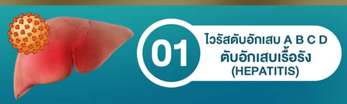 HEPROVIT เฮโปรวิท ฟื้นฟูตับ บำรุงตับ รักษาตับ ดีท็อกซ์ตับ ล้างสารพิษตับ ไขมันพอกตับ ตับอักเสบ ตับแข็ง ไวรัสตับอักเสบเอ ไวรัสตับอักเสบบี ไวรัสตับอักเสบซี มะเร็งตับ ตาเหลืองตัวเหลือง เจ็บชายโครงด้านขวา ง่วงกลางวัน ตื่นกลางคืน ดื่มแล้วเป็นผื่นแดง คันตามตัวไม่มีสาเหตุ มือเท้าบวม ท้องมาน ปวดตามข้อ ท้องอืด แน่น หายใจไม่สะดวก ดื่มเหล้า สุรา อ้วน ไขมัน