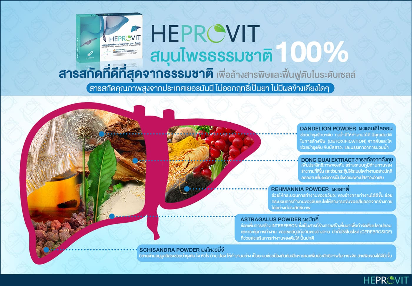 HEPROVIT เฮโปรวิท ฟื้นฟูตับ บำรุงตับ รักษาตับ ดีท็อกซ์ตับ ล้างสารพิษตับ ไขมันพอกตับ ตับอักเสบ ตับแข็ง ไวรัสตับอักเสบเอ ไวรัสตับอักเสบบี ไวรัสตับอักเสบซี มะเร็งตับ ตาเหลืองตัวเหลือง เจ็บชายโครงด้านขวา ง่วงกลางวัน ตื่นกลางคืน ดื่มแล้วเป็นผื่นแดง คันตามตัวไม่มีสาเหตุ มือเท้าบวม ท้องมาน ปวดตามข้อ ท้องอืด แน่น หายใจไม่สะดวก ดื่มเหล้า สุรา อ้วน ไขมัน