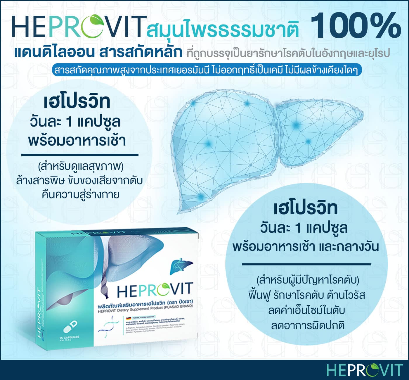 HEPROVIT เฮโปรวิท ฟื้นฟูตับ บำรุงตับ รักษาตับ ดีท็อกซ์ตับ ล้างสารพิษตับ ไขมันพอกตับ ตับอักเสบ ตับแข็ง ไวรัสตับอักเสบเอ ไวรัสตับอักเสบบี ไวรัสตับอักเสบซี มะเร็งตับ ตาเหลืองตัวเหลือง เจ็บชายโครงด้านขวา ง่วงกลางวัน ตื่นกลางคืน ดื่มแล้วเป็นผื่นแดง คันตามตัวไม่มีสาเหตุ มือเท้าบวม ท้องมาน ปวดตามข้อ ท้องอืด แน่น หายใจไม่สะดวก ดื่มเหล้า สุรา อ้วน ไขมัน