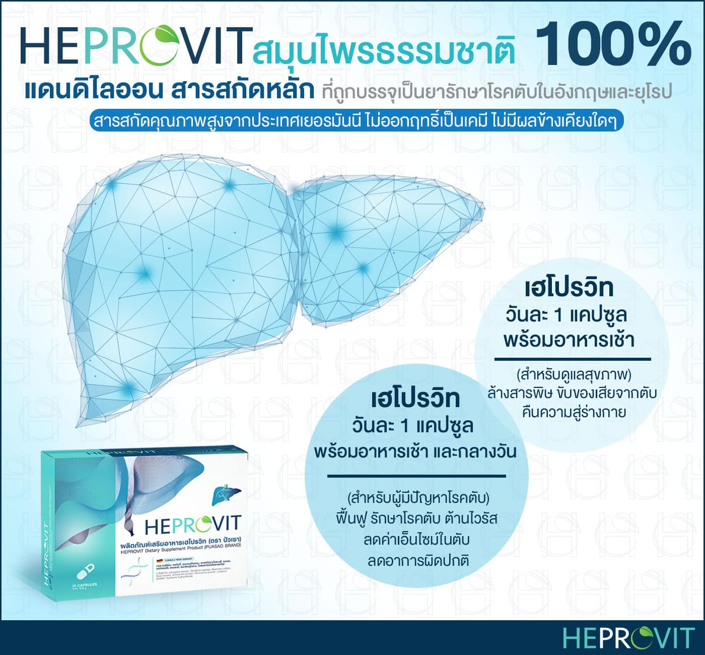 HEPROVIT เฮโปรวิท ฟื้นฟูตับ บำรุงตับ รักษาตับ ดีท็อกซ์ตับ ล้างสารพิษตับ ไขมันพอกตับ ตับอักเสบ ตับแข็ง ไวรัสตับอักเสบเอ ไวรัสตับอักเสบบี ไวรัสตับอักเสบซี มะเร็งตับ ตาเหลืองตัวเหลือง เจ็บชายโครงด้านขวา ง่วงกลางวัน ตื่นกลางคืน ดื่มแล้วเป็นผื่นแดง คันตามตัวไม่มีสาเหตุ มือเท้าบวม ท้องมาน ปวดตามข้อ ท้องอืด แน่น หายใจไม่สะดวก ดื่มเหล้า สุรา อ้วน ไขมัน