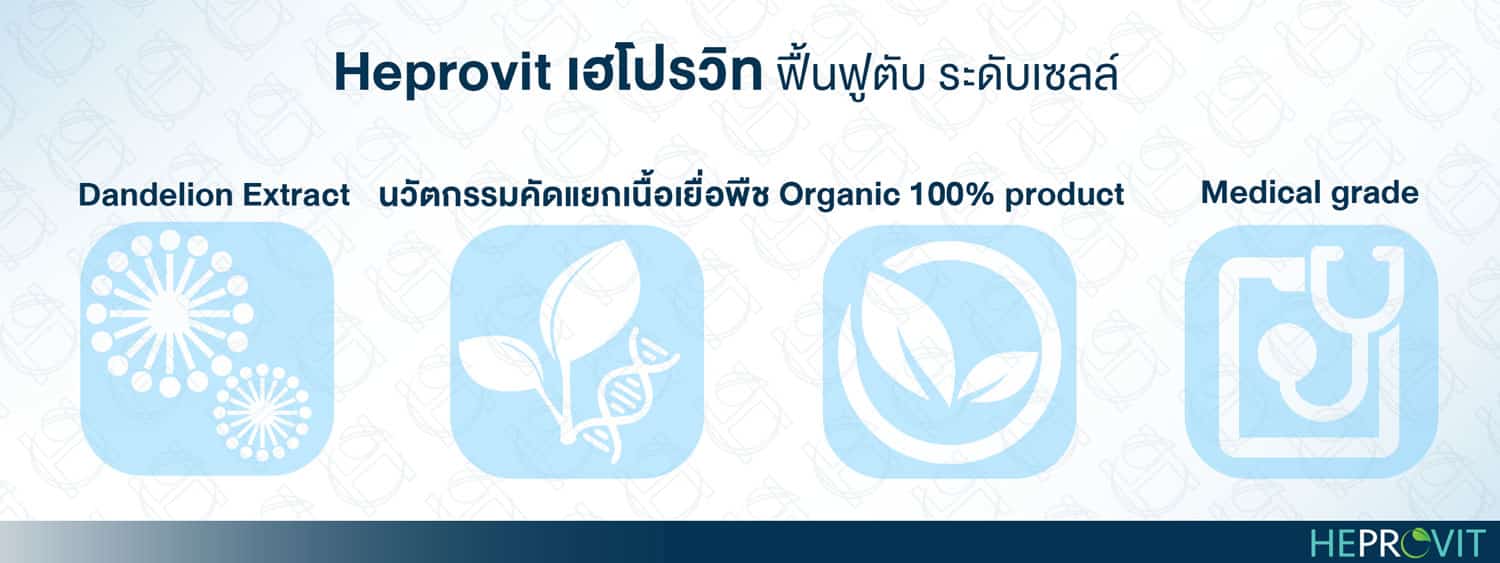 HEPROVIT เฮโปรวิท ฟื้นฟูตับ บำรุงตับ รักษาตับ ดีท็อกซ์ตับ ล้างสารพิษตับ ไขมันพอกตับ ตับอักเสบ ตับแข็ง ไวรัสตับอักเสบเอ ไวรัสตับอักเสบบี ไวรัสตับอักเสบซี มะเร็งตับ ตาเหลืองตัวเหลือง เจ็บชายโครงด้านขวา ง่วงกลางวัน ตื่นกลางคืน ดื่มแล้วเป็นผื่นแดง คันตามตัวไม่มีสาเหตุ มือเท้าบวม ท้องมาน ปวดตามข้อ ท้องอืด แน่น หายใจไม่สะดวก ดื่มเหล้า สุรา อ้วน ไขมัน