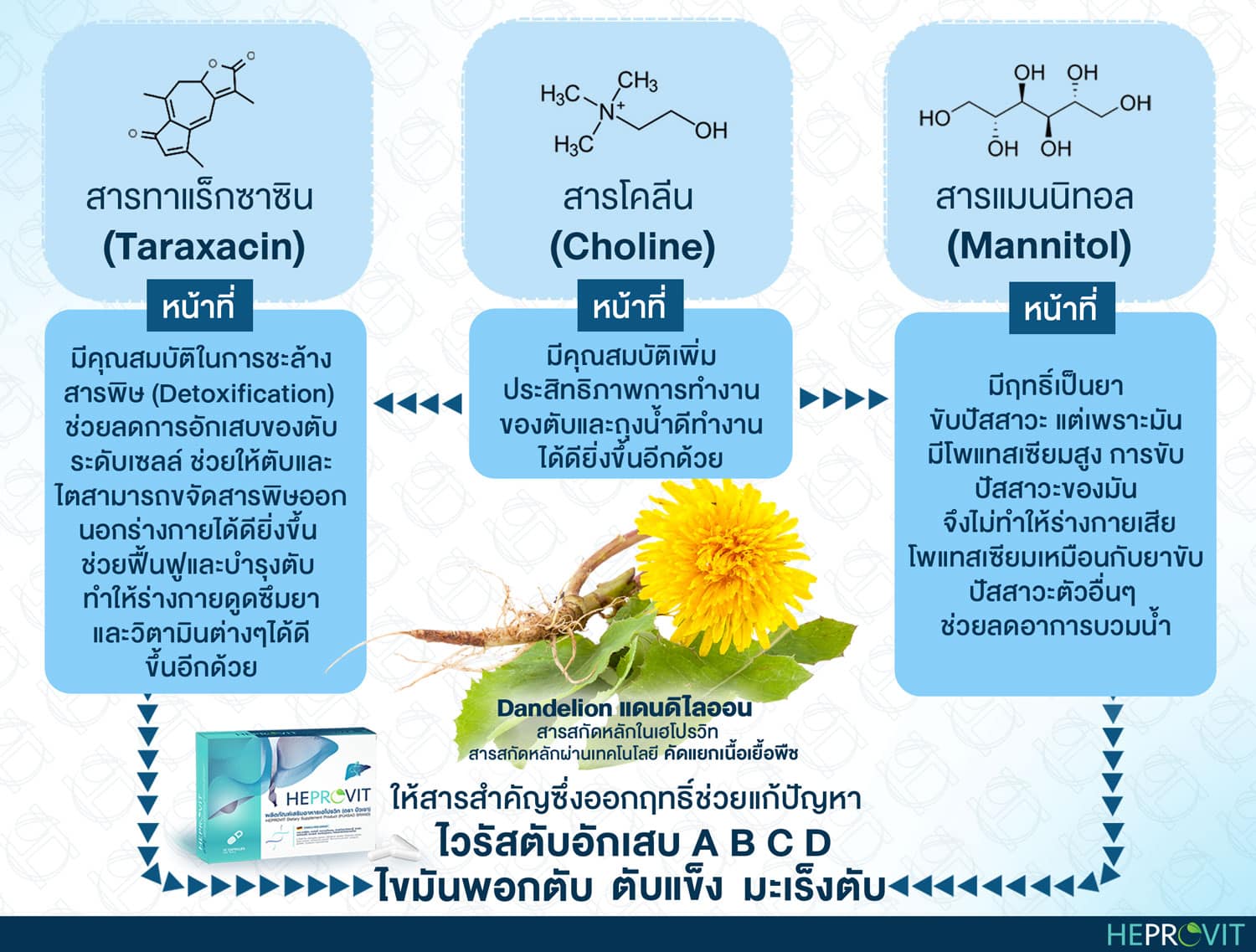 HEPROVIT เฮโปรวิท ฟื้นฟูตับไบำรุงตับ รักษาตับ ดีท็อกซ์ตับ ล้างสารพิษตับ ไขมันพอกตับ ตับอักเสบ ตับแข็ง ไวรัสตับอักเสบเอ ไวรัสตับอักเสบบี ไวรัสตับอักเสบซี มะเร็งตับ ตาเหลืองตัวเหลือง เจ็บชายโครงด้านขวา ง่วงกลางวัน ตื่นกลางคืน ดื่มแล้วเป็นผื่นแดง คันตามตัวไม่มีสาเหตุ มือเท้าบวม ท้องมาน ปวดตามข้อ ท้องอืด แน่น หายใจไม่สะดวก ดื่มเหล้า สุรา อ้วน ไขมัน