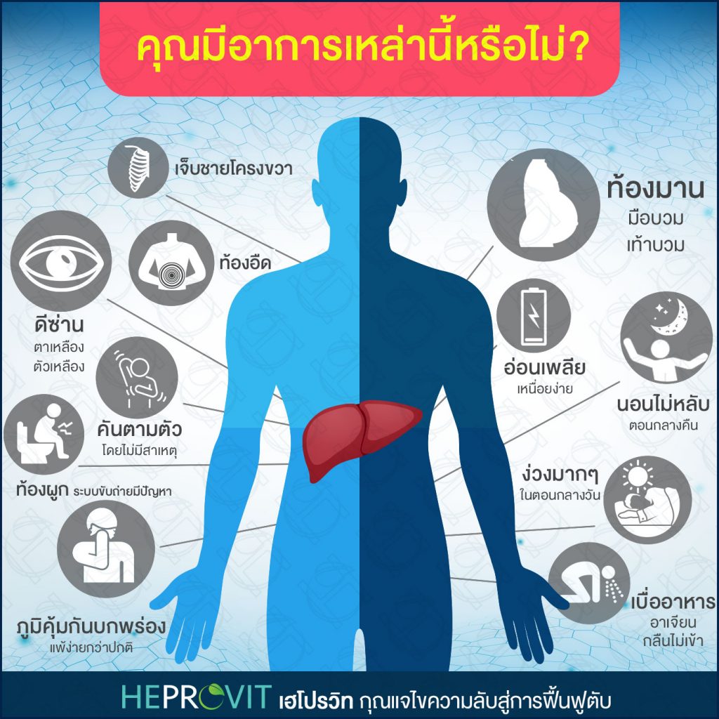 HEPROVIT เฮโปรวิท ฟื้นฟูตับ บำรุงตับ รักษาตับ ดีท็อกซ์ตับ ล้างสารพิษตับ ไขมันพอกตับ ตับอักเสบ ตับแข็ง ไวรัสตับอักเสบเอ ไวรัสตับอักเสบบี ไวรัสตับอักเสบซี มะเร็งตับ ตาเหลืองตัวเหลือง เจ็บชายโครงด้านขวา ง่วงกลางวัน ตื่นกลางคืน ดื่มแล้วเป็นผื่นแดง คันตามตัวไม่มีสาเหตุ มือเท้าบวม ท้องมาน ปวดตามข้อ ท้องอืด แน่น หายใจไม่สะดวก ดื่มเหล้า สุรา อ้วน ไขมัน